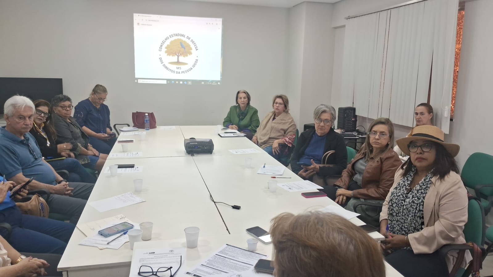 FETEMS Participa de Reunião do Conselho Estadual de Defesa dos Direitos da Pessoa Idosa