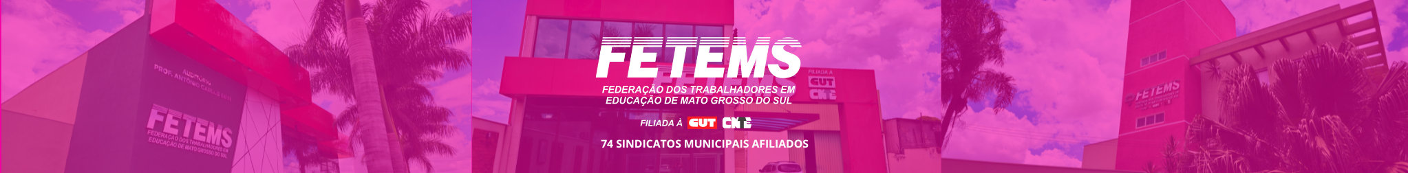 FETEMS