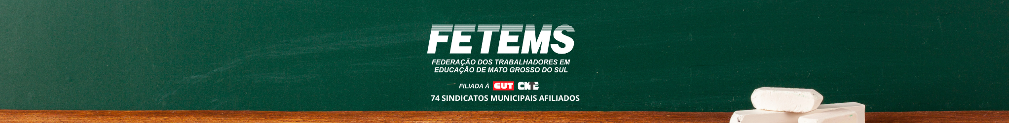 FETEMS