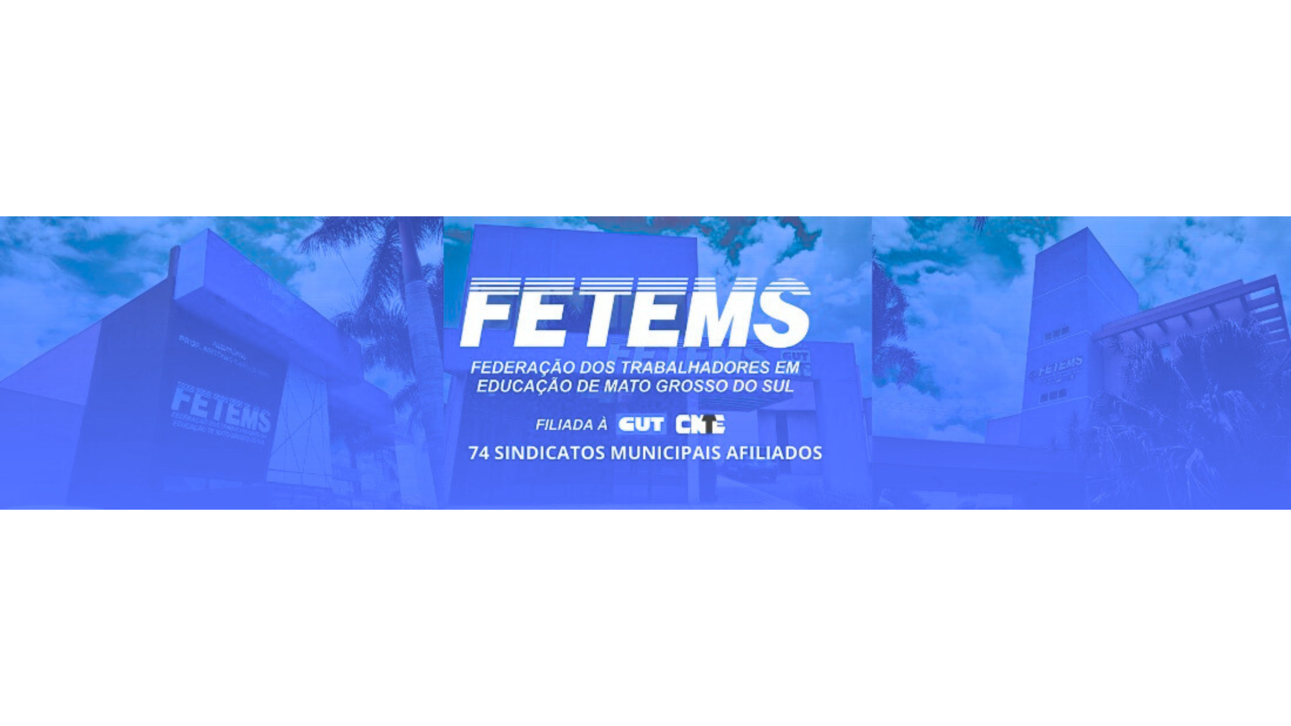 FETEMS